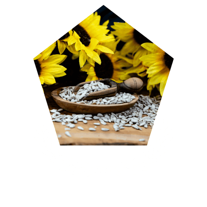 Helianthus Annuus (Sunflower) Extract