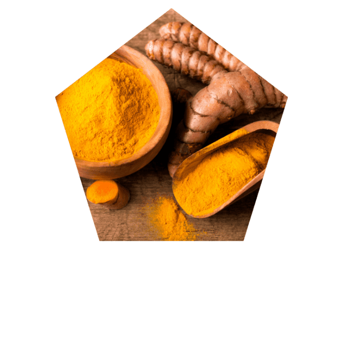 Turmeric Root Extract Powder